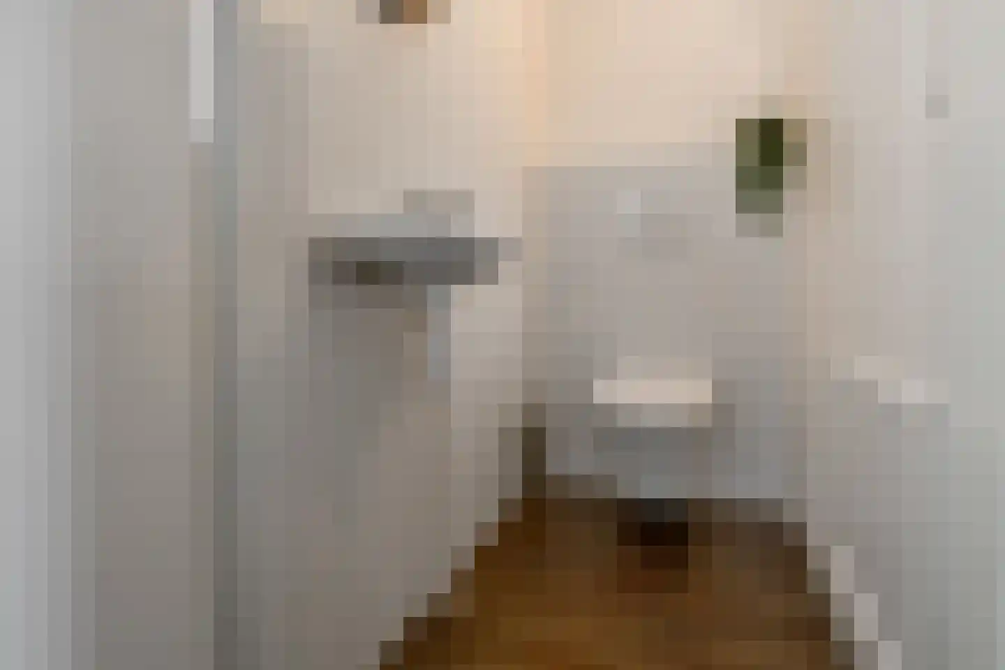 Henriëtte Roland Holstlaan 27 Elst thumbnail 47