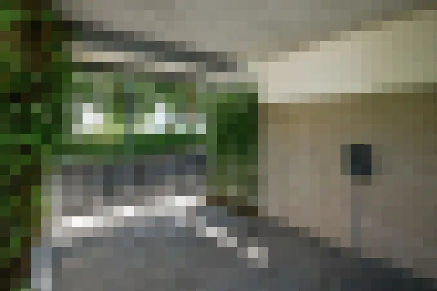 Henriëtte Roland Holstlaan 27 Elst thumbnail 48