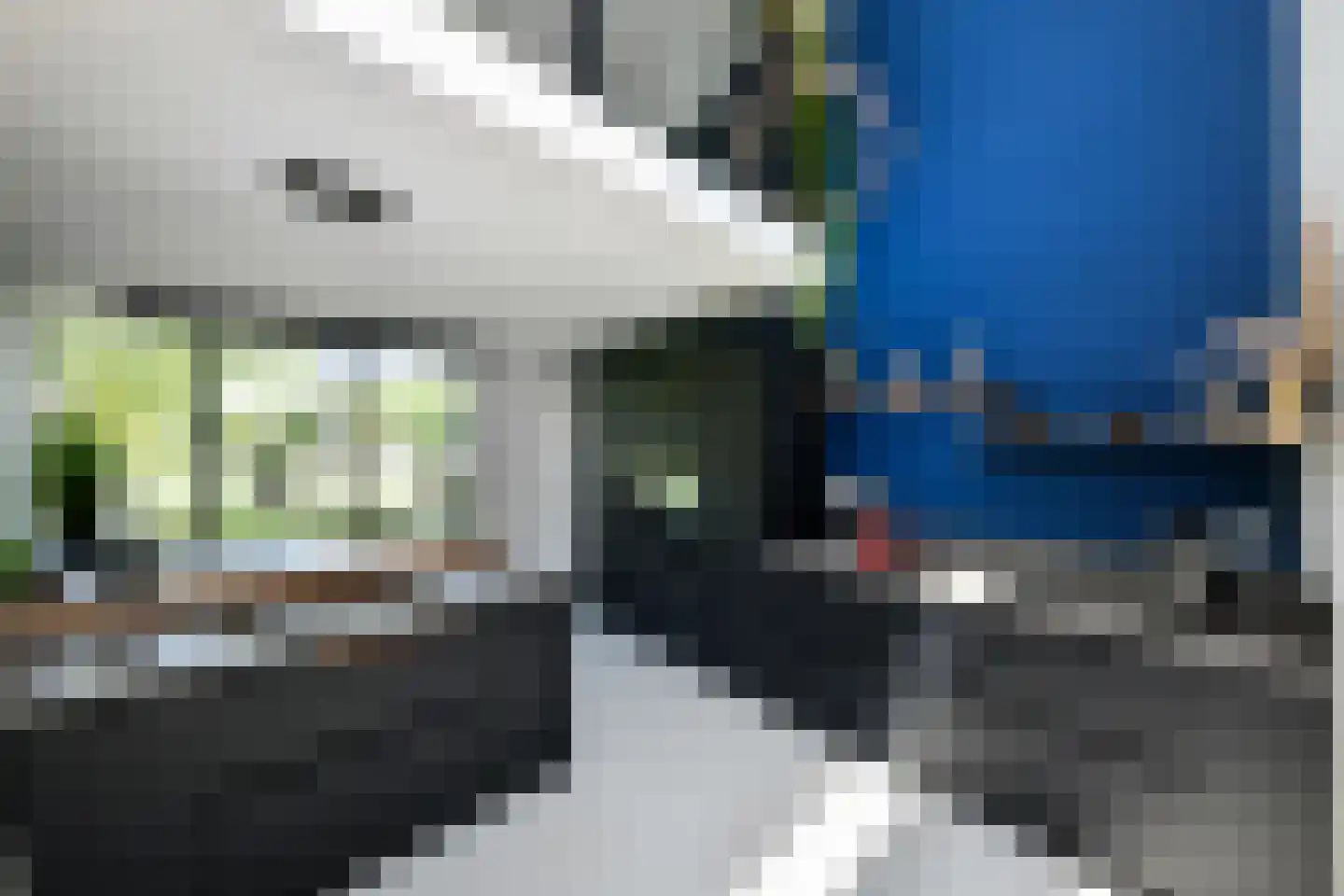 Henriëtte Roland Holstlaan 27 Elst thumbnail 5
