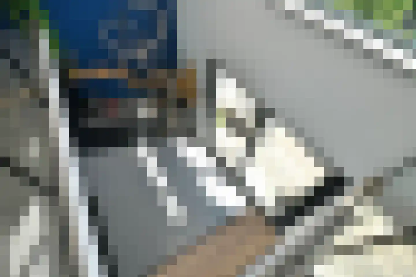 Henriëtte Roland Holstlaan 27 Elst thumbnail 6