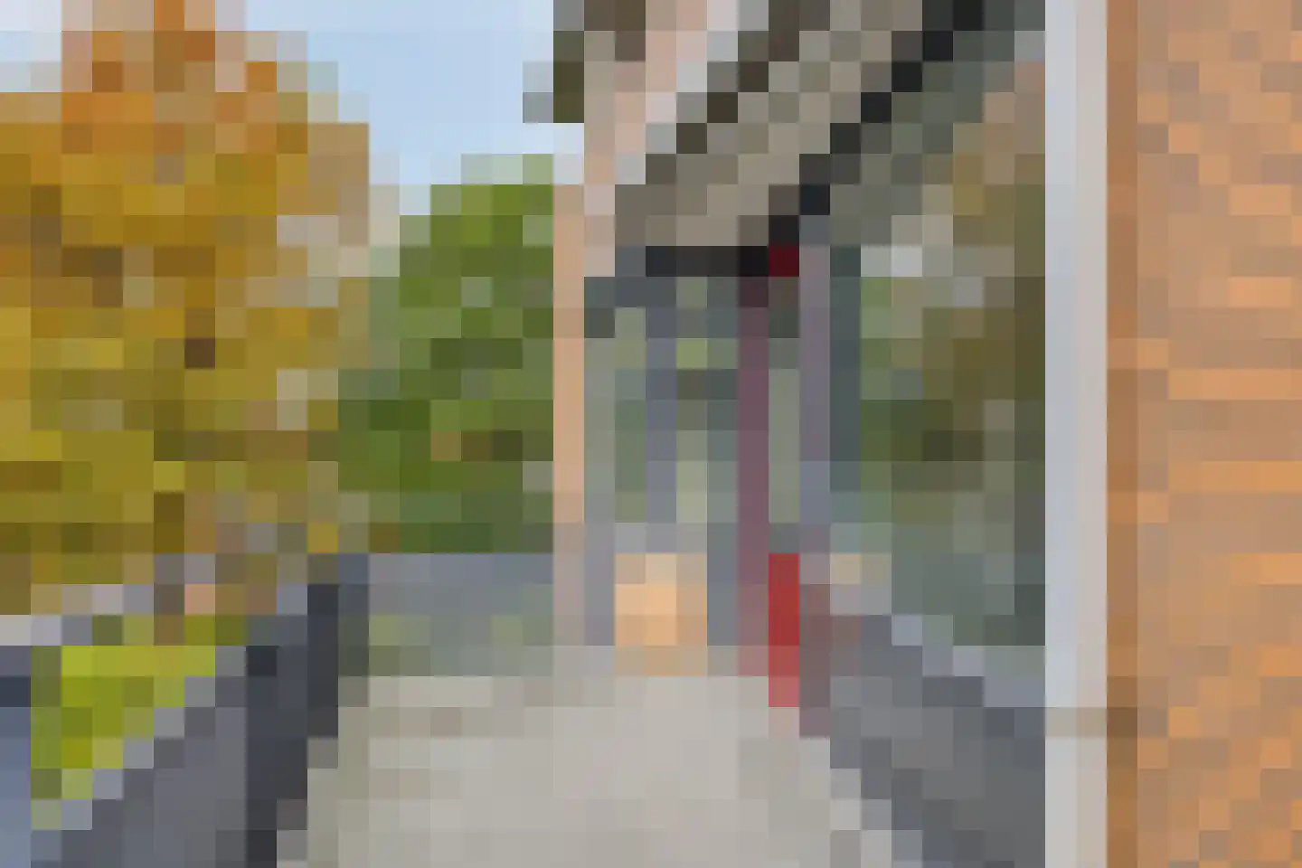 Henriëtte Roland Holstlaan 29 Hoofddorp thumbnail 21