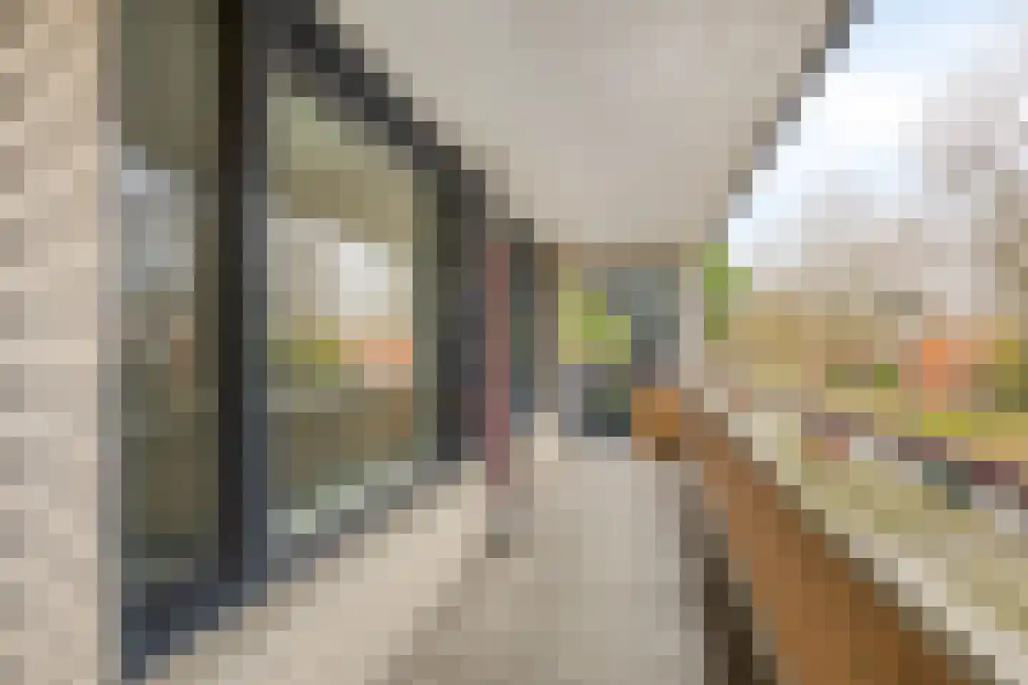Henriëtte Roland Holstlaan 29 Hoofddorp thumbnail 4