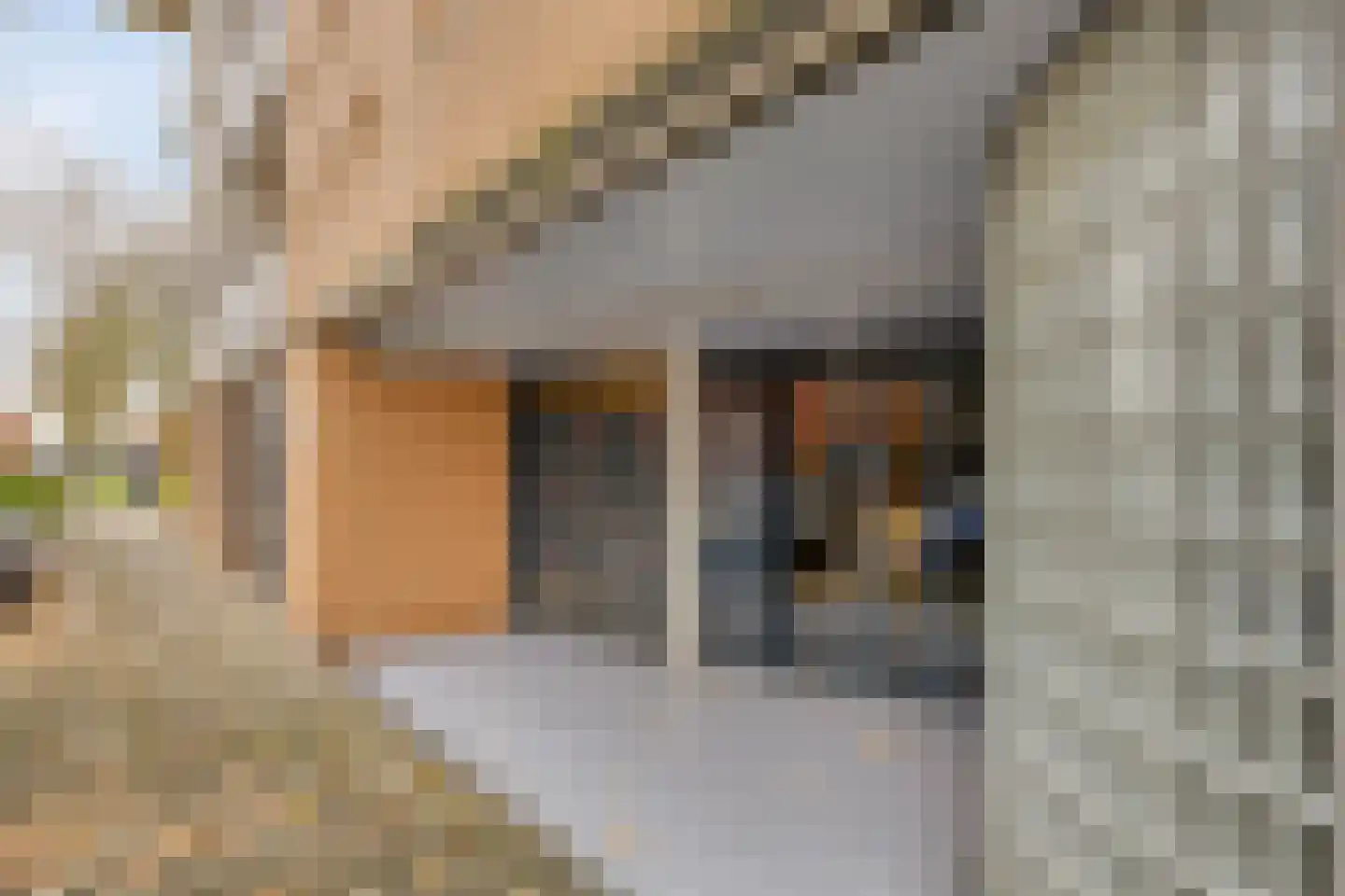 Henriëtte Roland Holstlaan 29 Hoofddorp thumbnail 6