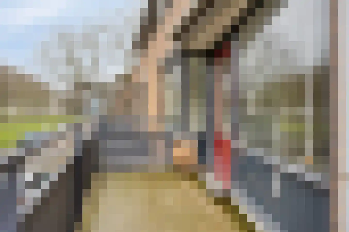Henriëtte Roland Holstlaan 51 Hoofddorp thumbnail 14