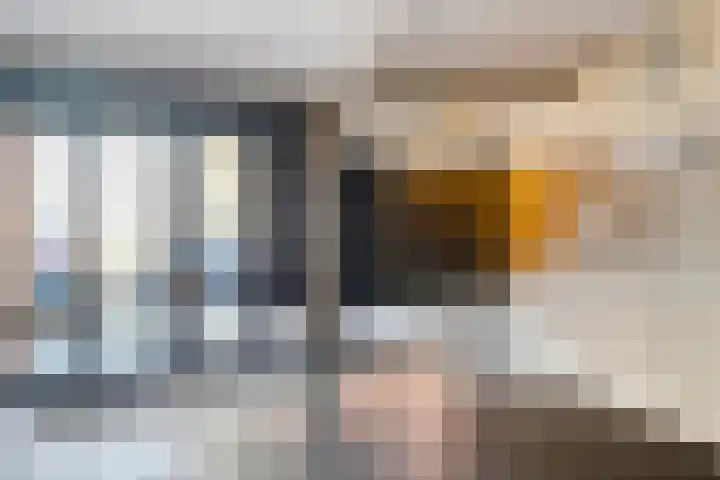 Henriëtte Roland Holstlaan 53 Hoofddorp thumbnail 14