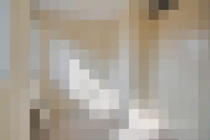 Henriëtte Roland Holstlaan 53 Hoofddorp thumbnail 30