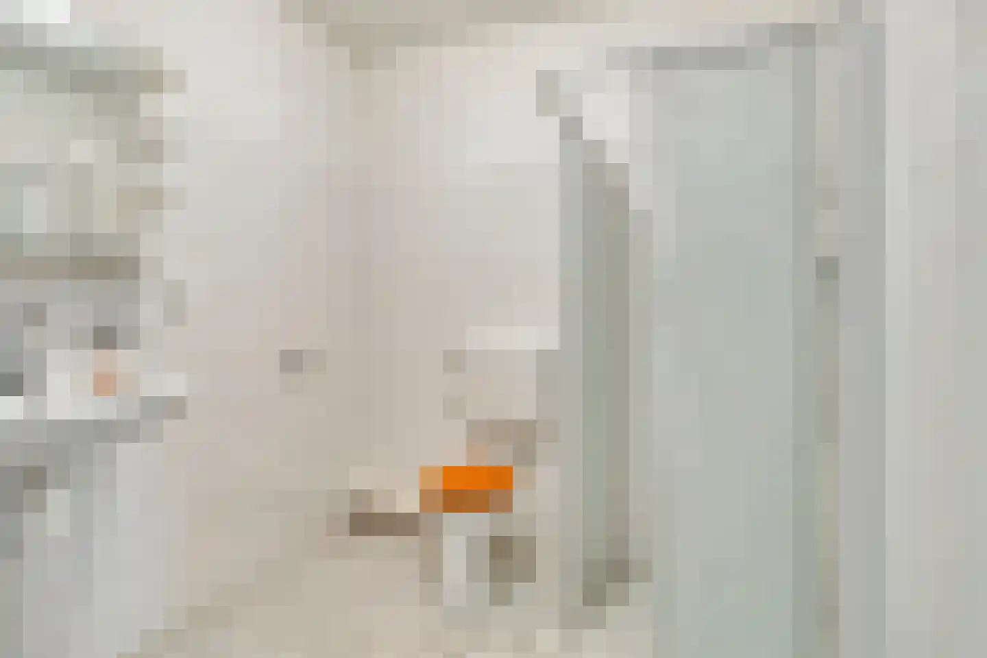 Henriëtte Roland Holstlaan 75 Hoofddorp thumbnail 17