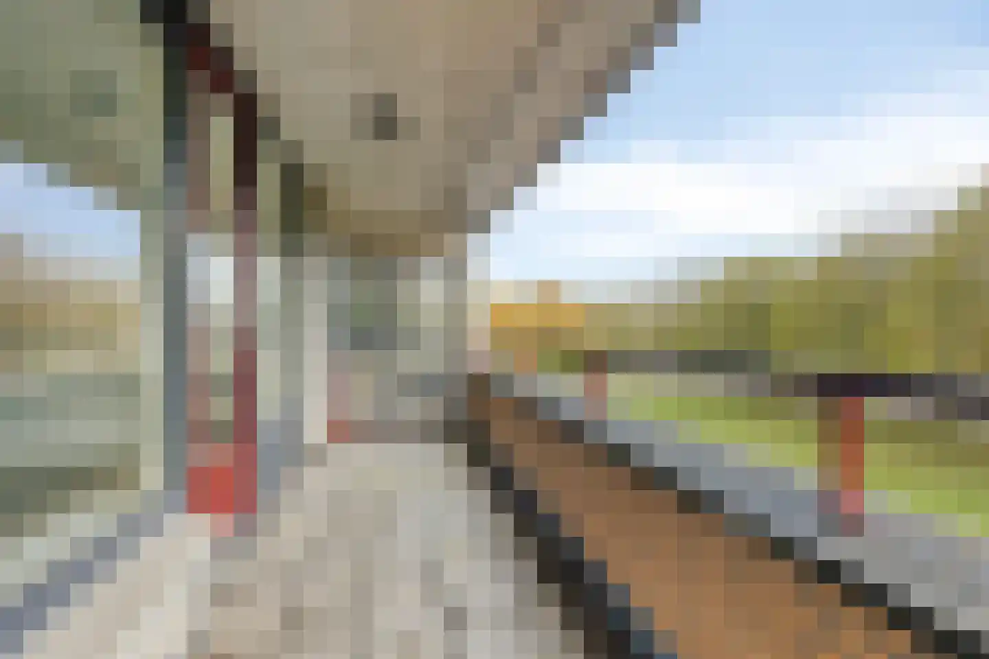 Henriëtte Roland Holstlaan 75 Hoofddorp thumbnail 27
