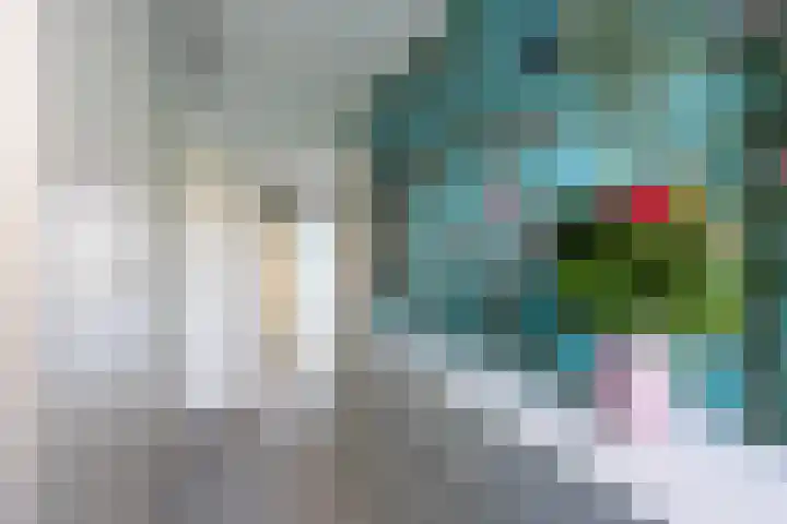 Henriëtte Roland Holstlaan 75 Rijswijk thumbnail 18
