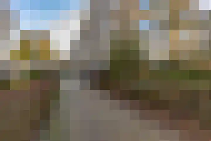 Henriëtte Roland Holstlaan 75 Rijswijk thumbnail 32