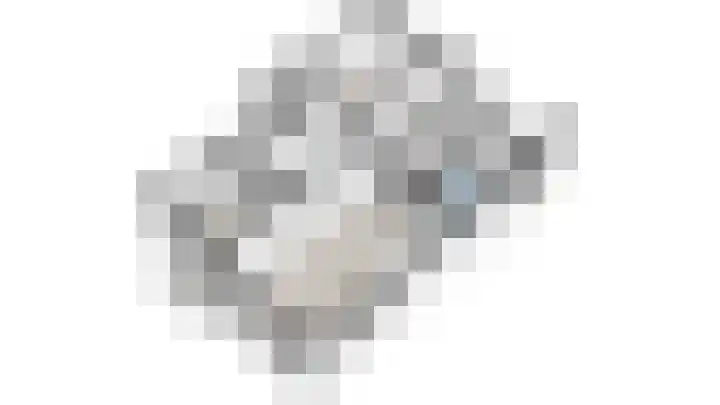 Henriëtte Roland Holstlaan 75 Rijswijk thumbnail 36