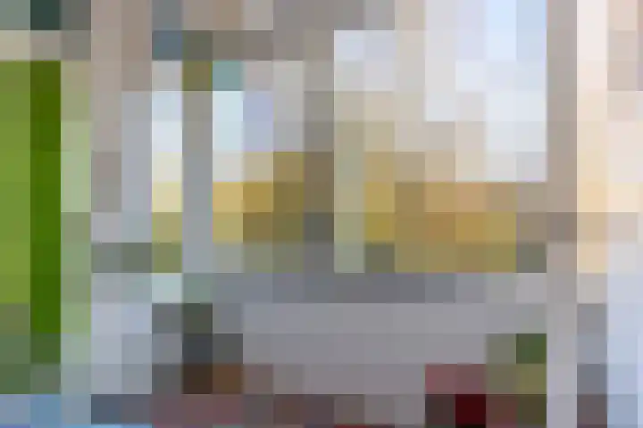 Henriëtte Roland Holstlaan 75 Rijswijk thumbnail 7