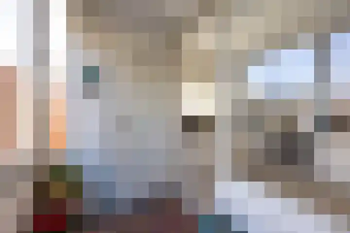 Henriëtte Roland Holstlaan 75 Rijswijk thumbnail 8
