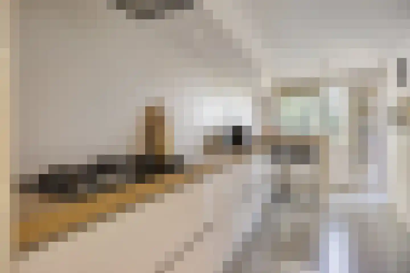 Henriëtte Roland Holststraat 10 Spijkenisse thumbnail 14