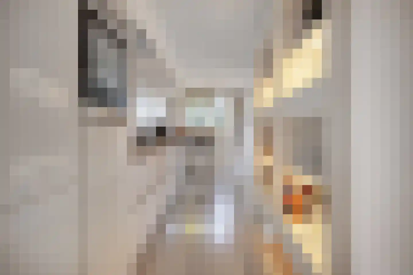 Henriëtte Roland Holststraat 10 Spijkenisse thumbnail 4