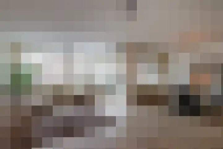 Henriëtte Roland Holststraat 11 Utrecht thumbnail 5