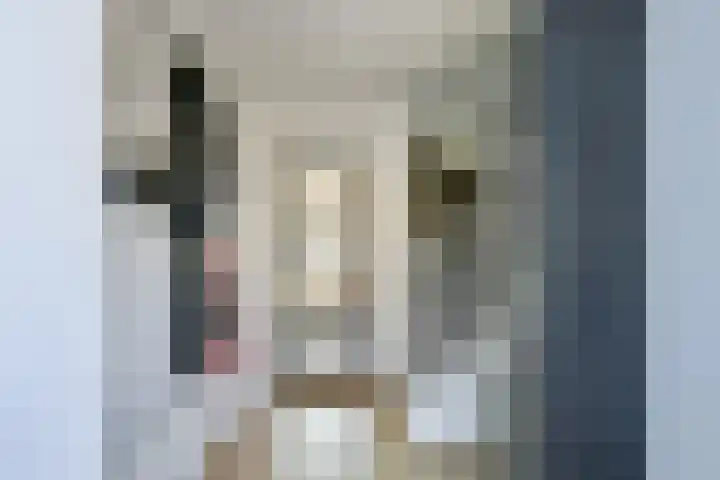 Henriëtte Roland Holststraat 18 Alkmaar foto 3