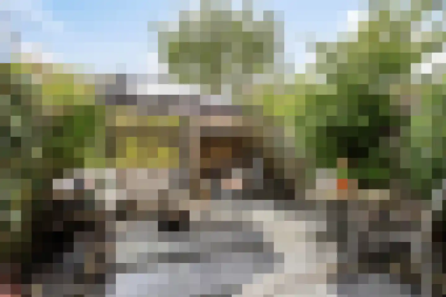 Henriette Roland-Holststraat 24 Gorinchem thumbnail 19