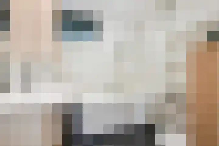 Henriette Roland Holststraat 24 Tiel thumbnail 21