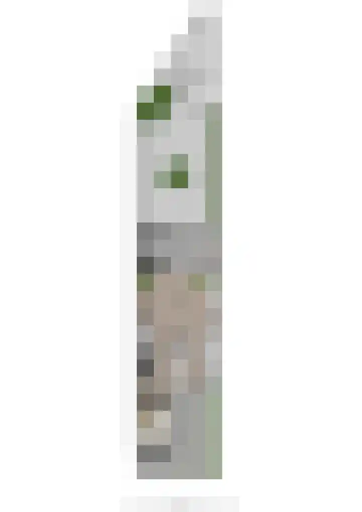 Henriette Roland Holststraat 24 Tiel thumbnail 37