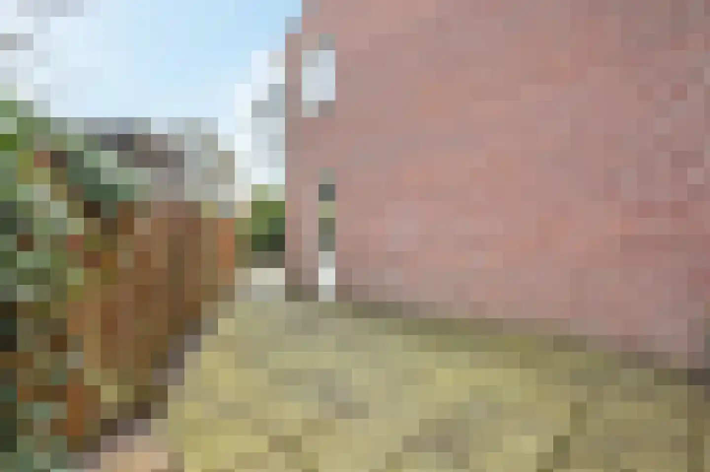 Henriette Roland Holststraat 26 Tiel thumbnail 10