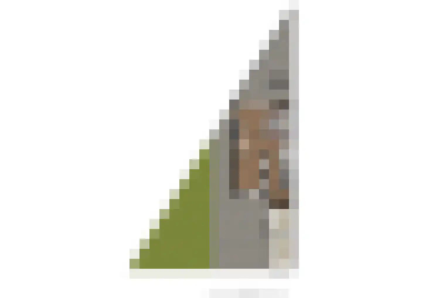 Henriette Roland Holststraat 26 Tiel thumbnail 31