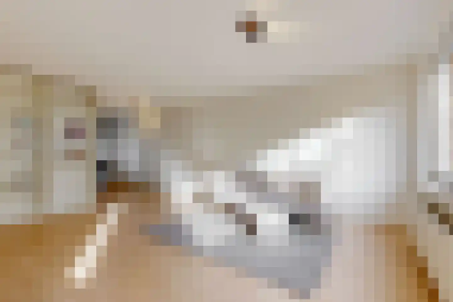 Henriëtte Roland Holststraat 34 Utrecht thumbnail 7
