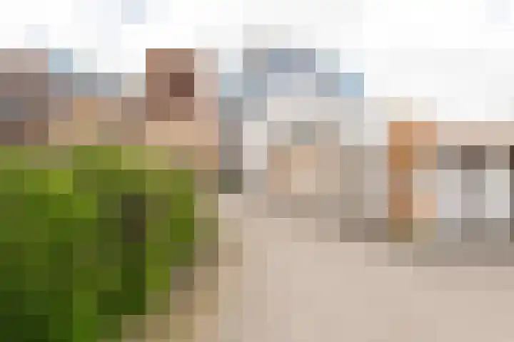 Henriette Roland Holststraat 36 Culemborg thumbnail 37