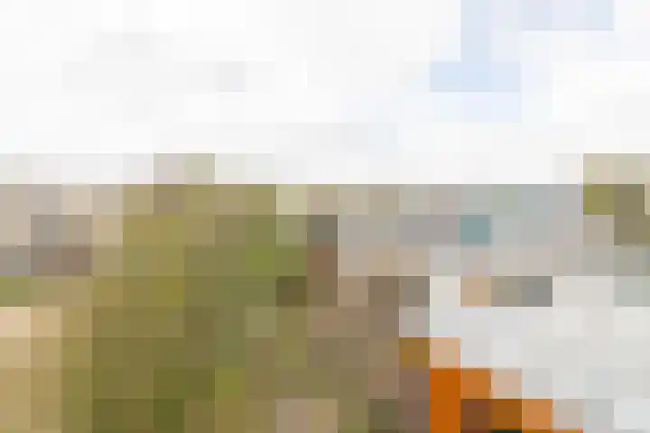 Henriette Roland Holststraat 36 Culemborg thumbnail 38