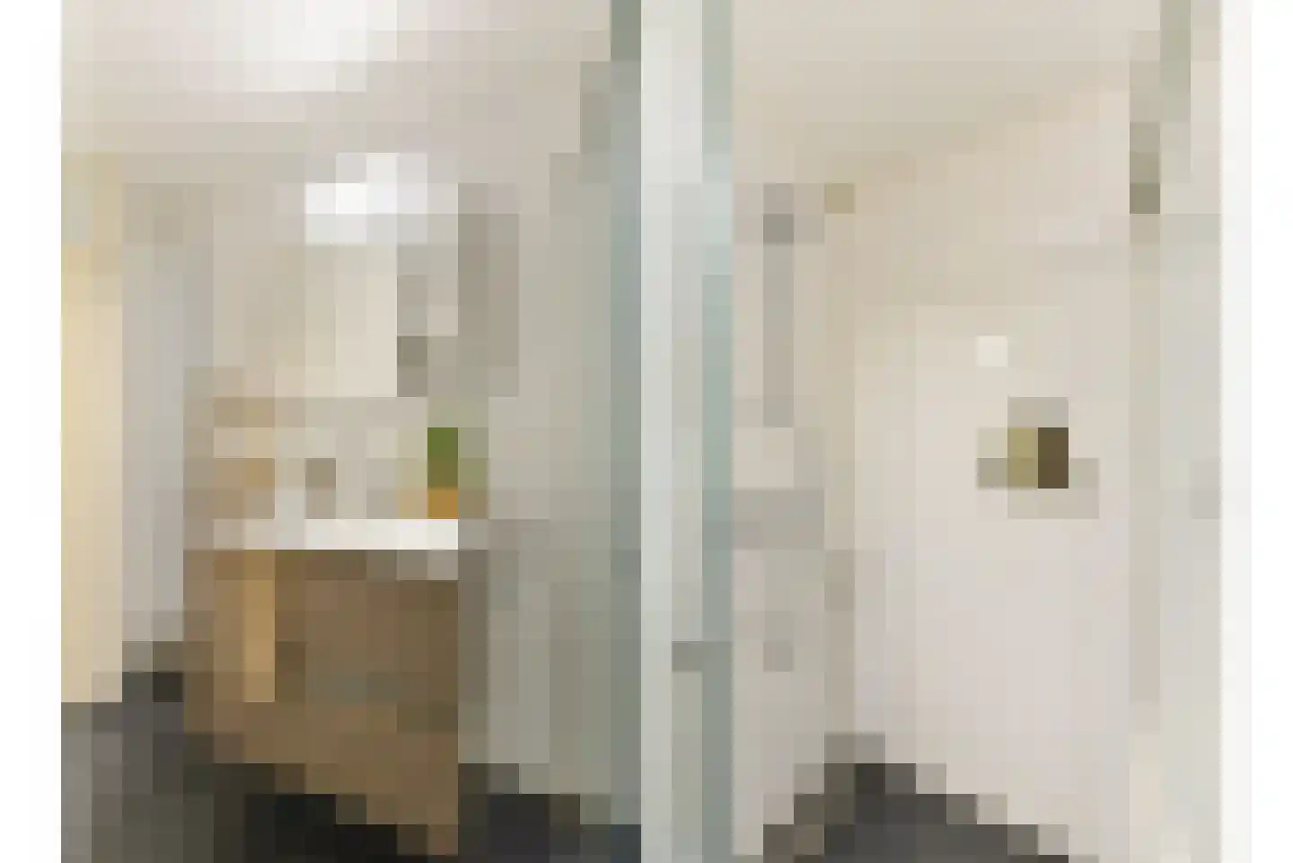 Henriëtte Roland Holststraat 38 Utrecht thumbnail 23