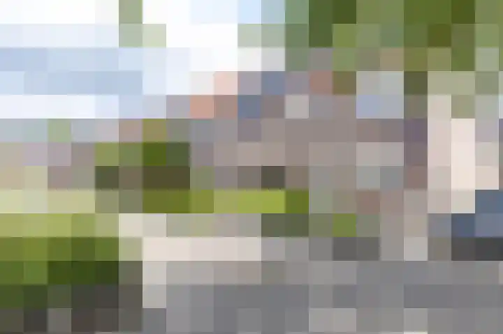 Henriëtte Roland Holststraat 4 Alkmaar thumbnail 5