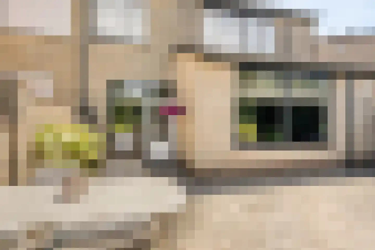 Henriëtte Roland Holststraat 4 Arnhem thumbnail 27
