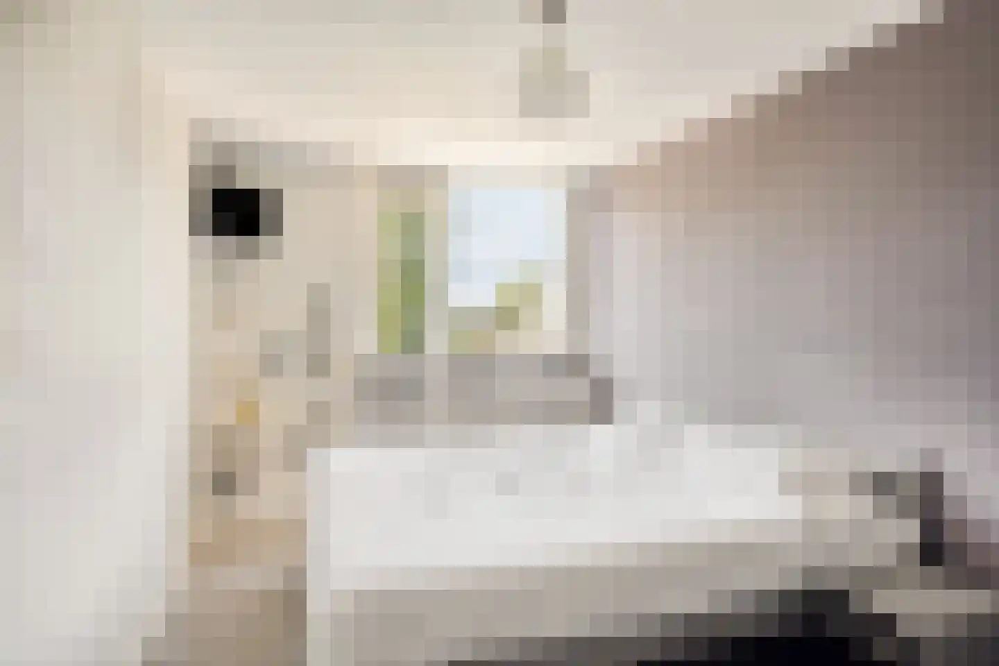 Henriëtte Roland Holststraat 4 Arnhem thumbnail 33