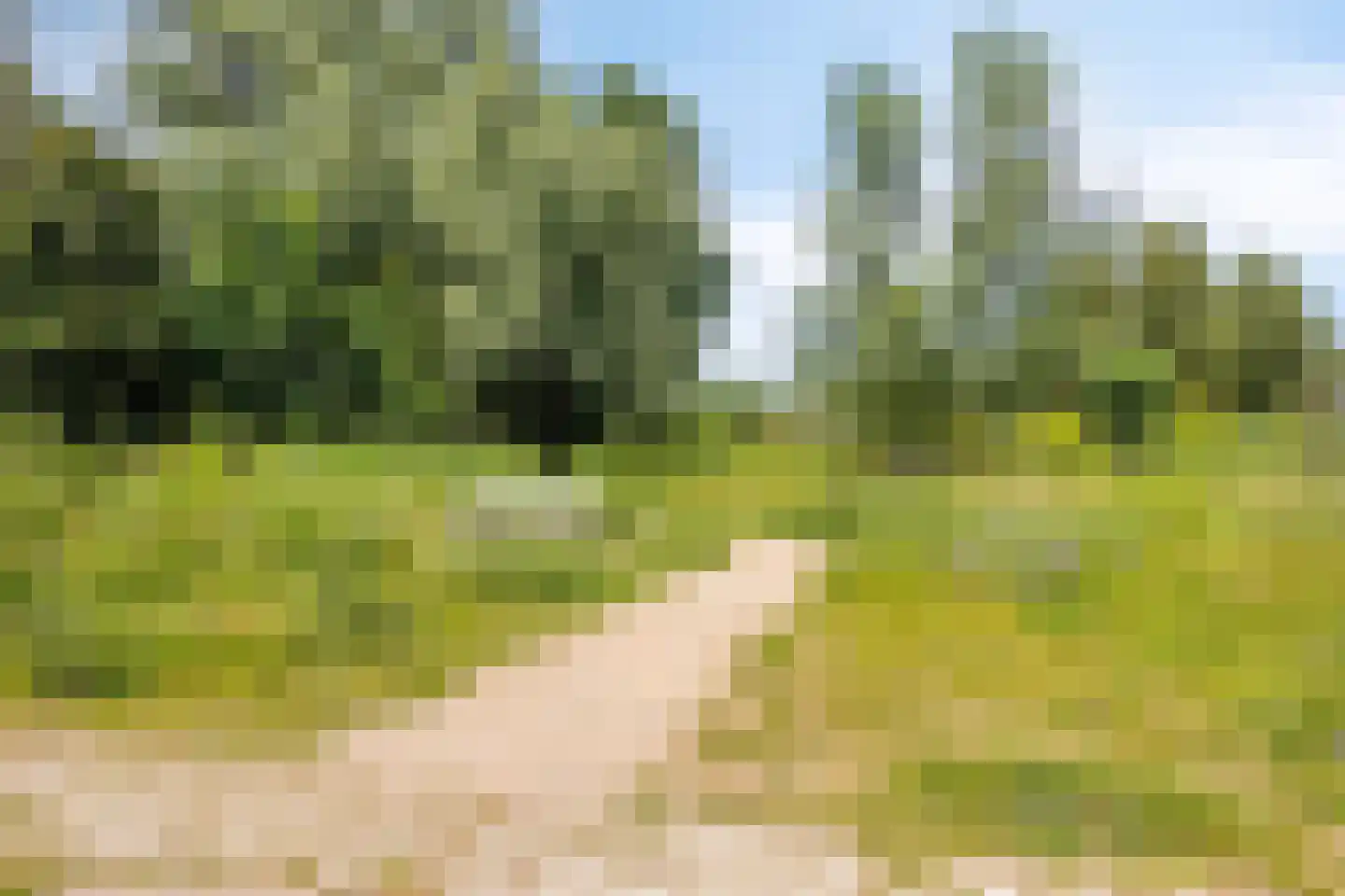 Henriëtte Roland Holststraat 4 Arnhem thumbnail 55