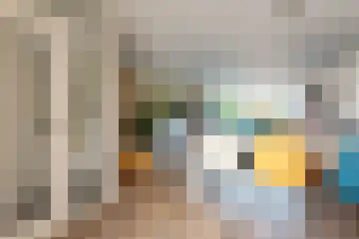 Henriëtte Roland Holststraat 4 Castricum thumbnail 4