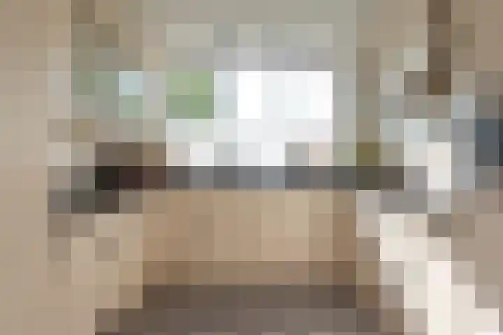 Henriëtte Roland Holststraat 4 Castricum thumbnail 7