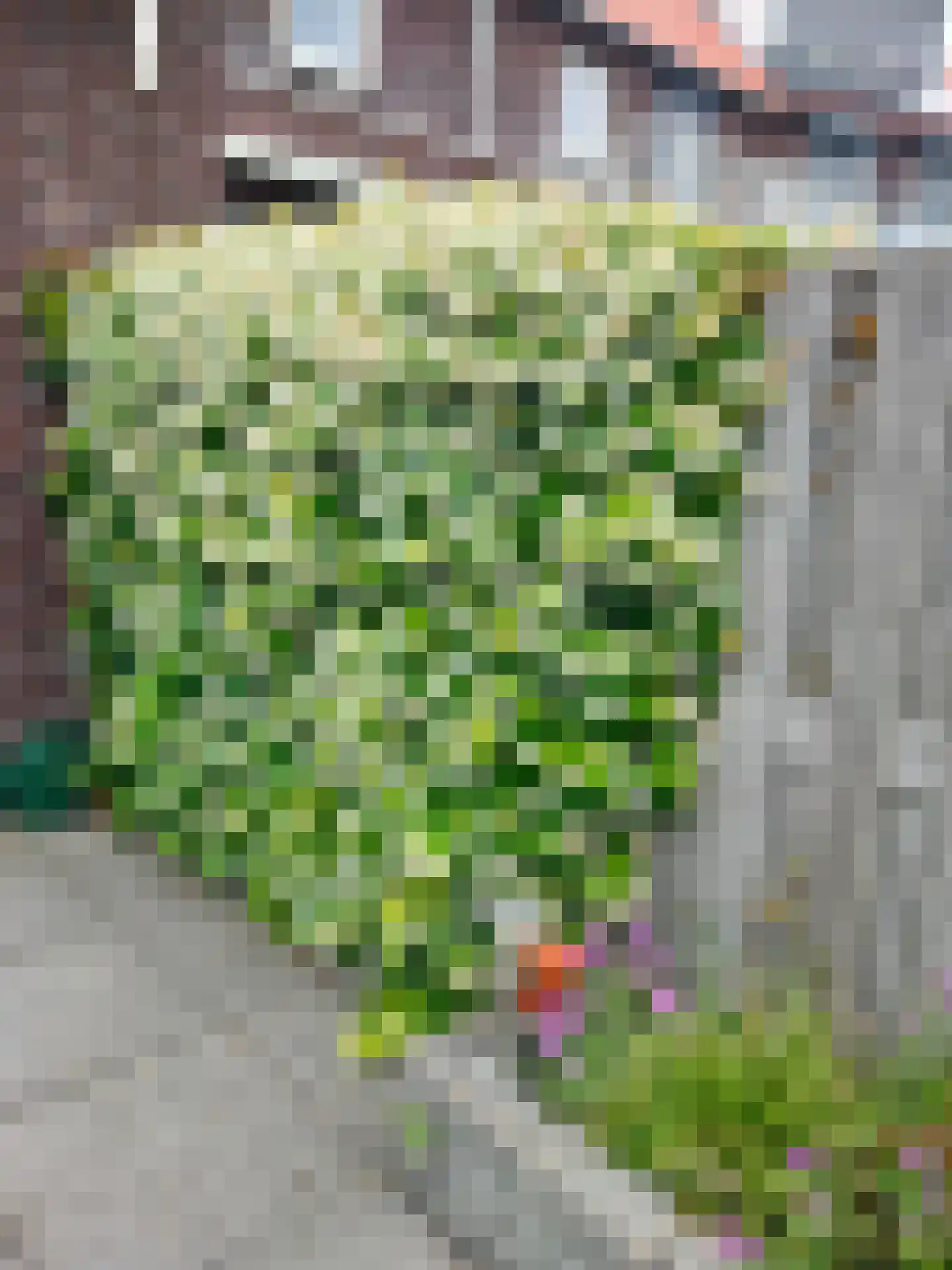 Henriette Roland Holststraat 45 Vlaardingen thumbnail 26
