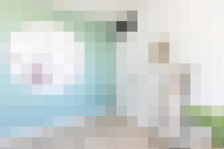 Henriëtte Roland Holststraat 5 Alkmaar thumbnail 27