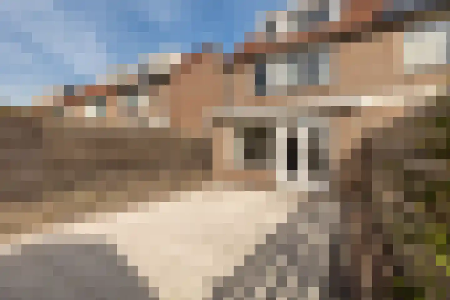 Henriëtte Roland Holststraat 9 Alkmaar thumbnail 40