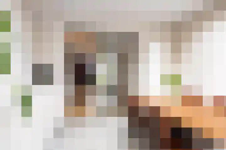 Henriëtte Roland Holstweg 36 Heerenveen thumbnail 15