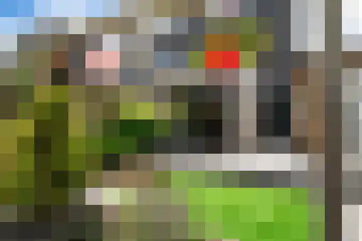 Henriëtte Roland Holstweg 36 Heerenveen thumbnail 36