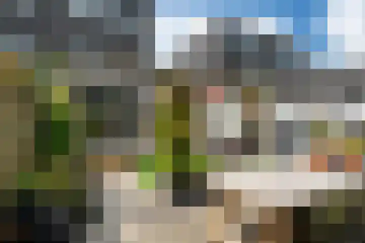 Henriëtte Roland Holstweg 36 Heerenveen thumbnail 37