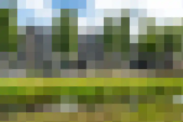 Henriëtte Roland Holstweg 36 Heerenveen thumbnail 39