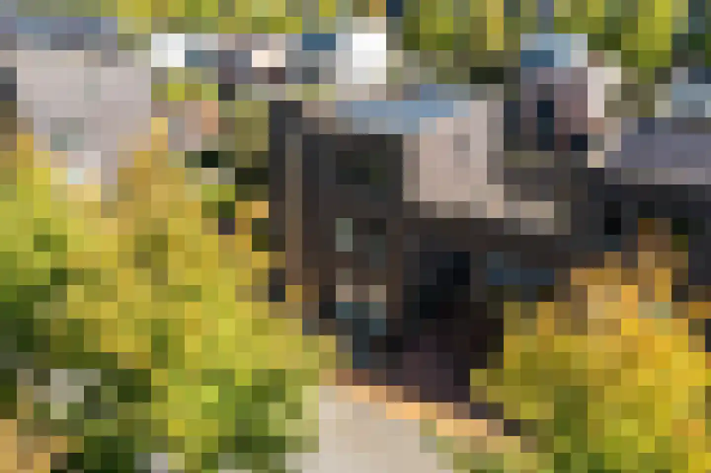 Henriëtte Roland Holstweg 39 Heerenveen thumbnail 37