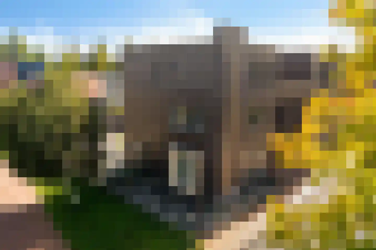 Henriëtte Roland Holstweg 39 Heerenveen thumbnail 39