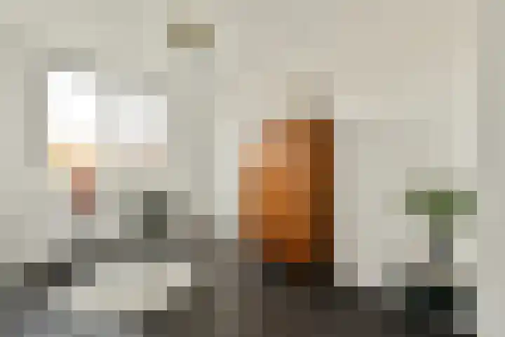 Henriëtte Ronnerplein 21 2 Amsterdam thumbnail 12