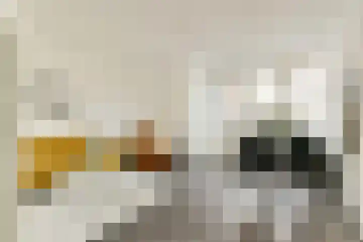 Henriëtte Ronnerplein 21 2 Amsterdam thumbnail 5