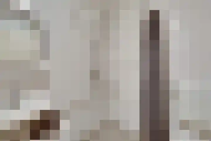 Henriëtte Ronnerplein 9 1 Amsterdam thumbnail 33
