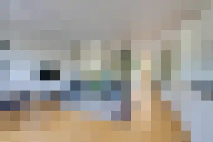 Henriëtte Ronnerplein 9 1 Amsterdam thumbnail 9