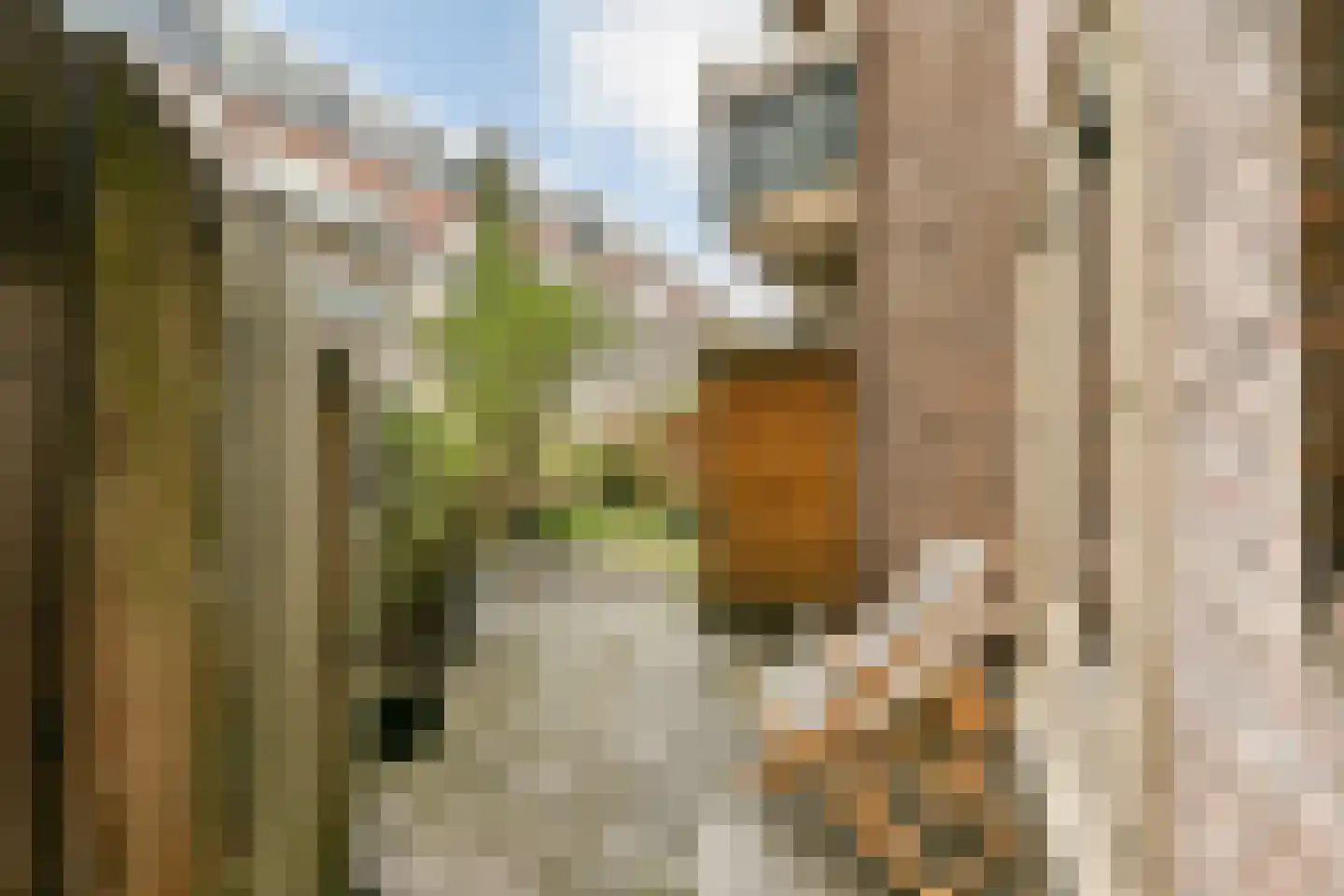 Henriëtte Ronnerstraat 1 1 Amsterdam thumbnail 8